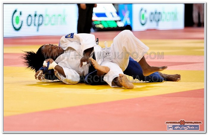 Grand Slam Paris 2013 Judo